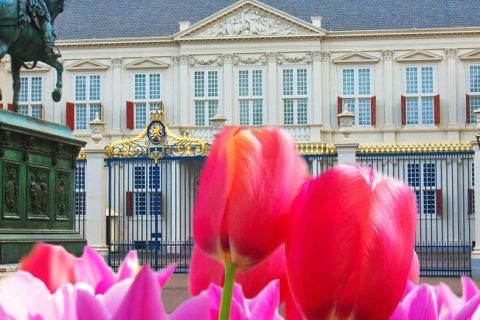 Bedrijfsuitje Den Haag